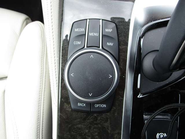 ＢＭＷ ５シリーズ ５３０ｉ　Ｍスポーツ H30年 (近畿) 99