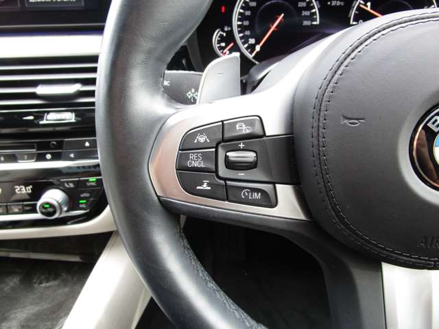 ＢＭＷ ５シリーズ ５３０ｉ　Ｍスポーツ H30年 (近畿) 99