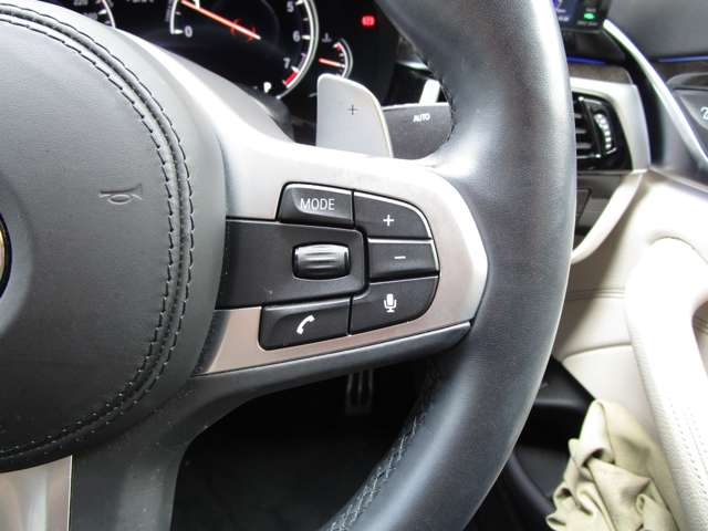 ＢＭＷ ５シリーズ ５３０ｉ　Ｍスポーツ H30年 (近畿) 99