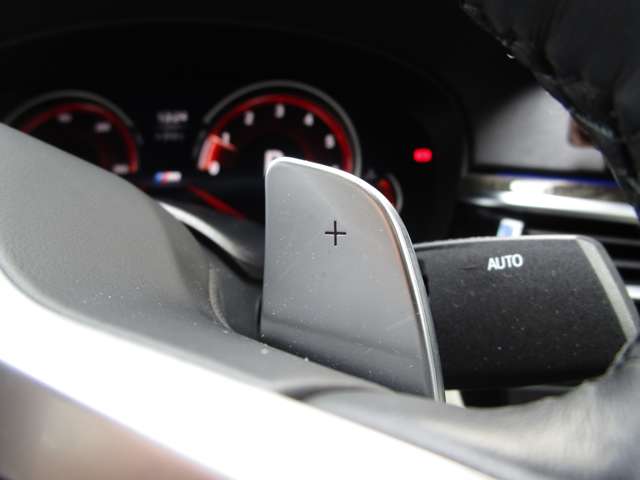 ＢＭＷ ５シリーズ ５３０ｉ　Ｍスポーツ H30年 (近畿) 99