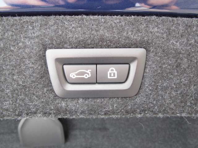 ＢＭＷ ５シリーズ ５３０ｉ　Ｍスポーツ H30年 (近畿) 99