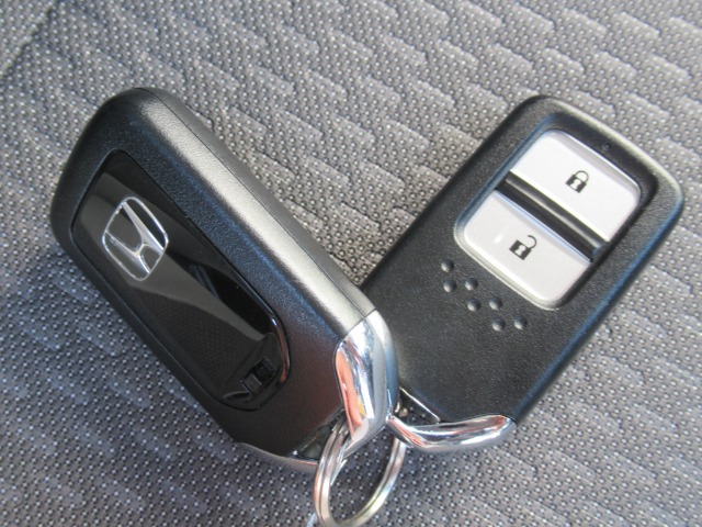 ホンダ フィット　ハイブリッド １．５ Ｅ：ＨＥＶ ネス R2年 (関東) 99