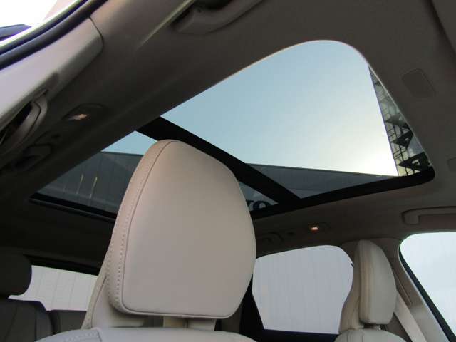 ボルボ ＸＣ６０ アルティメット Ｂ５ ＡＷＤ ４ＷＤ R5年 (関東) 99