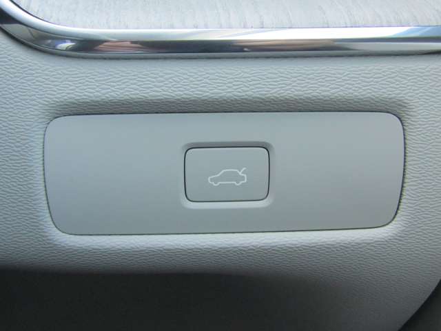 ボルボ ＸＣ６０ アルティメット Ｂ５ ＡＷＤ ４ＷＤ R5年 (関東) 99