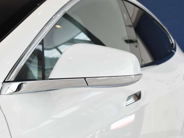 テスラ モデルＳ ロングレンジプラス R2年 (関東) 99