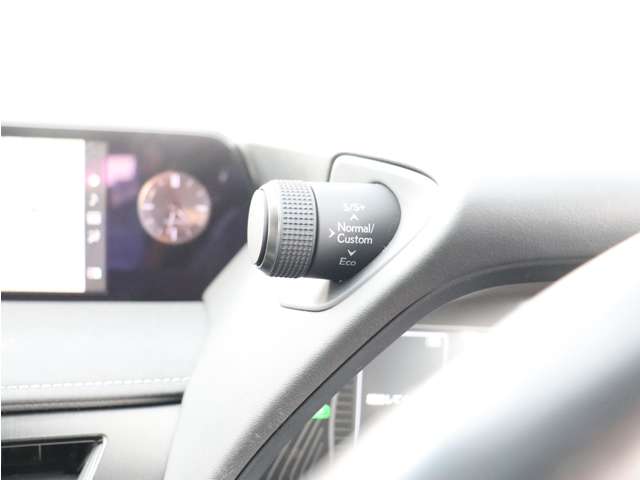 レクサス ＵＸ２５０ｈ ２５０Ｈ バージョンＬ ４ＷＤ R2年 (関東) 99