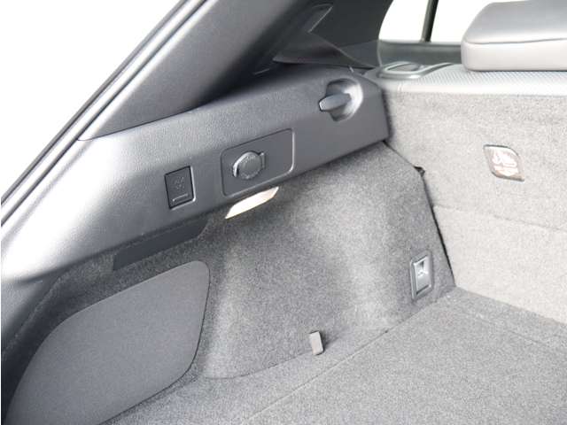 レクサス ＵＸ２５０ｈ ２５０Ｈ バージョンＬ ４ＷＤ R2年 (関東) 99