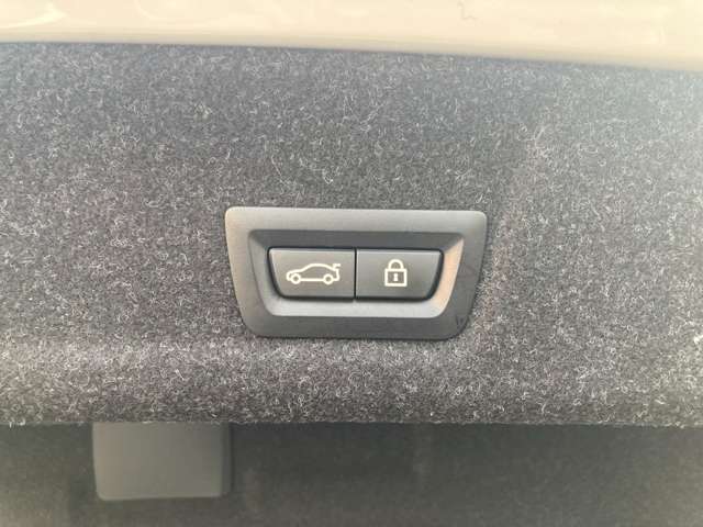 ＢＭＷ ３シリーズ ３２０Ｄ Ｘドライブ Ｍスポーツ ディーゼルターボ ４ＷＤ R1年 (近畿) 99