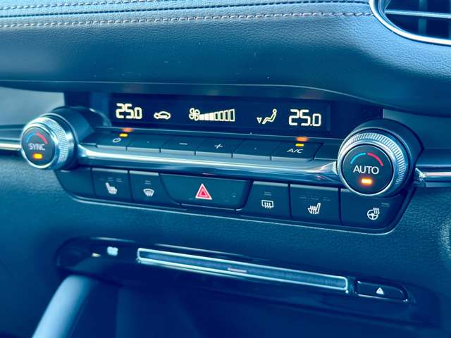 マツダ ＭＡＺＤＡ３　ファストバック ２．０ ２０Ｓ プロアクティブ ツーリング セレクション R5年 (近畿) 99