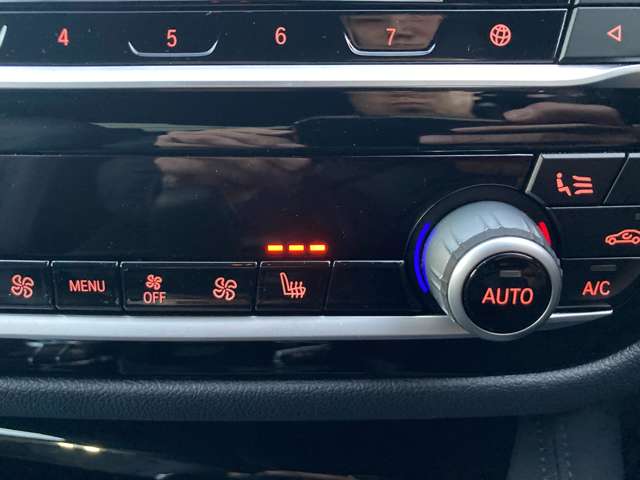 ＢＭＷ ５シリーズ ５３０Ｉ エディション ＭＩＳＳＩＯＮ ＩＭＰＯＳＳＩＢＬＥ H30年 (近畿) 99