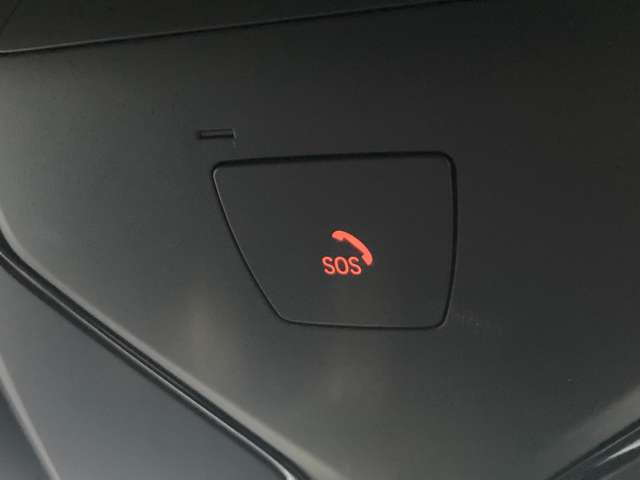 ＢＭＷ ５シリーズ ５３０Ｉ エディション ＭＩＳＳＩＯＮ ＩＭＰＯＳＳＩＢＬＥ H30年 (近畿) 99