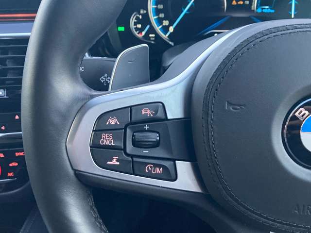 ＢＭＷ ５シリーズ ５３０Ｉ エディション ＭＩＳＳＩＯＮ ＩＭＰＯＳＳＩＢＬＥ H30年 (近畿) 99