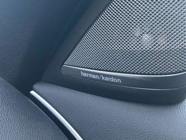 ＢＭＷ ５シリーズ ５３０Ｉ エディション ＭＩＳＳＩＯＮ ＩＭＰＯＳＳＩＢＬＥ H30年 (近畿) 99