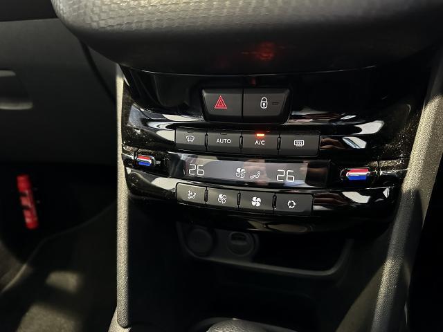 プジョー ２０８ アリュール　ファンエディション R2年 (中国) 99