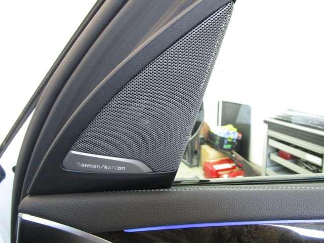 ＢＭＷ Ｘ３ Ｍ４０Ｄ ディーゼルターボ ４ＷＤ H30年 (近畿) 99