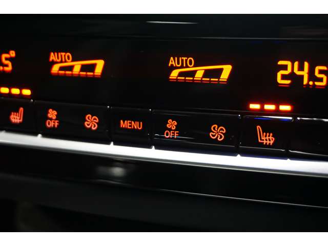 ＢＭＷ ５シリーズ ５２３Ｄ Ｘドライブ Ｍスポーツ ディーゼルターボ ４ＷＤ R4年 (北海道) 99