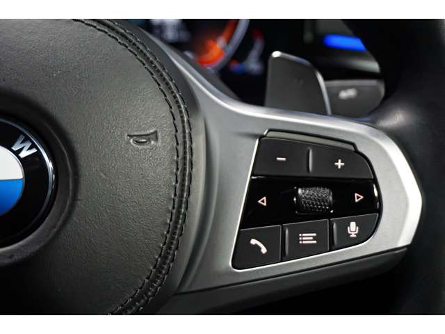 ＢＭＷ ５シリーズ ５２３Ｄ Ｘドライブ Ｍスポーツ ディーゼルターボ ４ＷＤ R4年 (北海道) 99