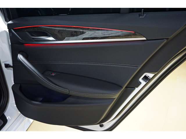 ＢＭＷ ５シリーズ ５２３Ｄ Ｘドライブ Ｍスポーツ ディーゼルターボ ４ＷＤ R4年 (北海道) 99