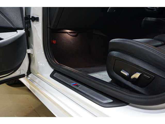 ＢＭＷ ５シリーズ ５２３Ｄ Ｘドライブ Ｍスポーツ ディーゼルターボ ４ＷＤ R4年 (北海道) 99