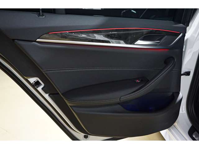 ＢＭＷ ５シリーズ ５２３Ｄ Ｘドライブ Ｍスポーツ ディーゼルターボ ４ＷＤ R4年 (北海道) 99