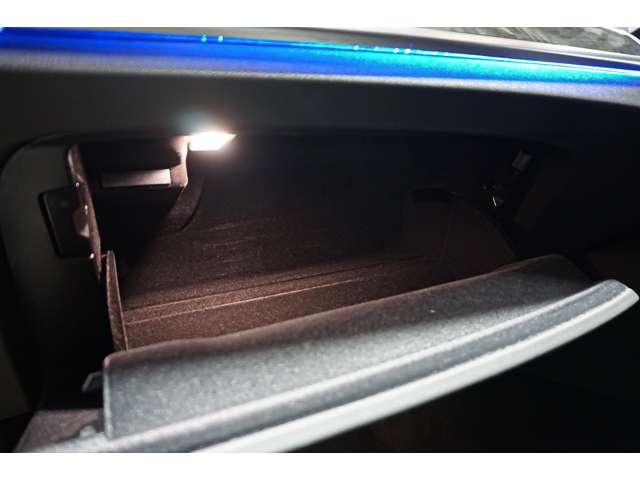 ＢＭＷ ５シリーズ ５２３Ｄ Ｘドライブ Ｍスポーツ ディーゼルターボ ４ＷＤ R4年 (北海道) 99