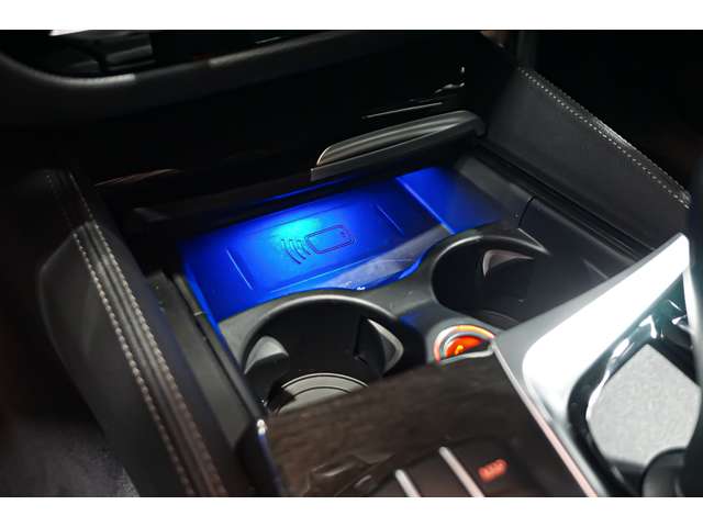 ＢＭＷ ５シリーズ ５２３Ｄ Ｘドライブ Ｍスポーツ ディーゼルターボ ４ＷＤ R4年 (北海道) 99