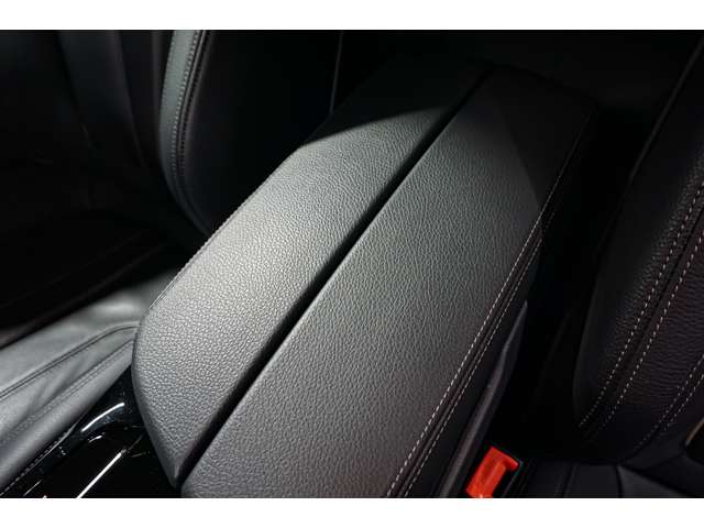 ＢＭＷ ５シリーズ ５２３Ｄ Ｘドライブ Ｍスポーツ ディーゼルターボ ４ＷＤ R4年 (北海道) 99