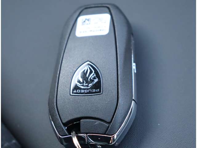 プジョー ４０８ ＧＴ R5年 (関東) 99