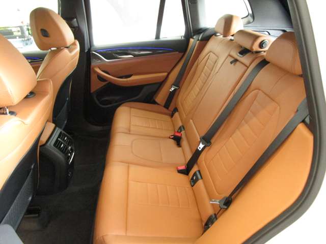 ＢＭＷ Ｘ３ Ｘドライブ２０Ｄ Ｍスポーツ ディーゼルターボ ４ＷＤ R2年 (近畿) 99