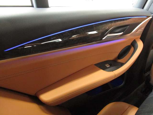 ＢＭＷ Ｘ３ Ｘドライブ２０Ｄ Ｍスポーツ ディーゼルターボ ４ＷＤ R2年 (近畿) 99