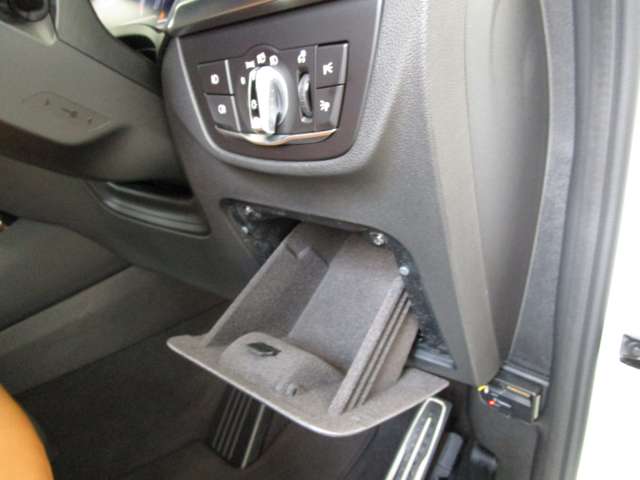 ＢＭＷ Ｘ３ Ｘドライブ２０Ｄ Ｍスポーツ ディーゼルターボ ４ＷＤ R2年 (近畿) 99