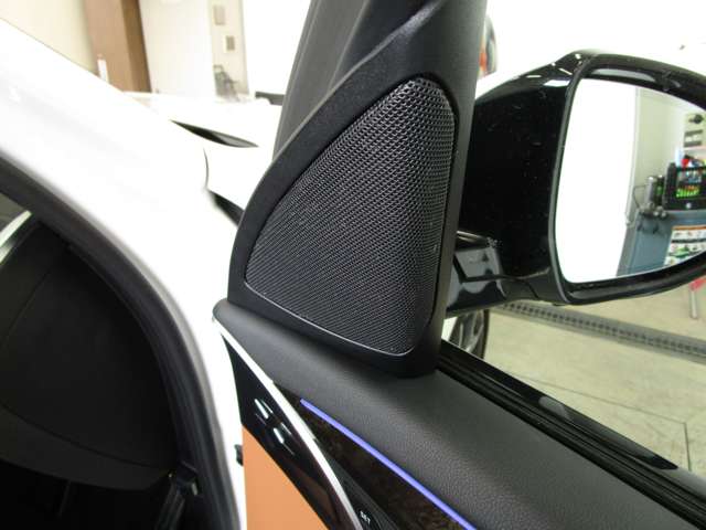 ＢＭＷ Ｘ３ Ｘドライブ２０Ｄ Ｍスポーツ ディーゼルターボ ４ＷＤ R2年 (近畿) 99