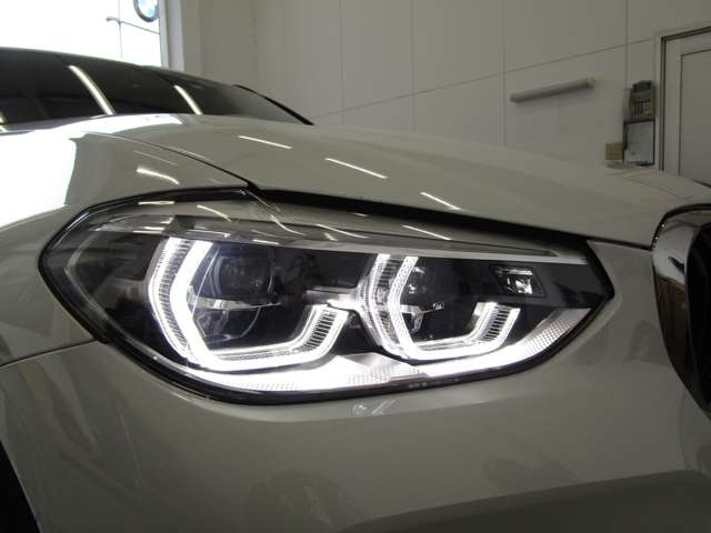 ＢＭＷ Ｘ３ Ｘドライブ２０Ｄ Ｍスポーツ ディーゼルターボ ４ＷＤ R2年 (近畿) 99