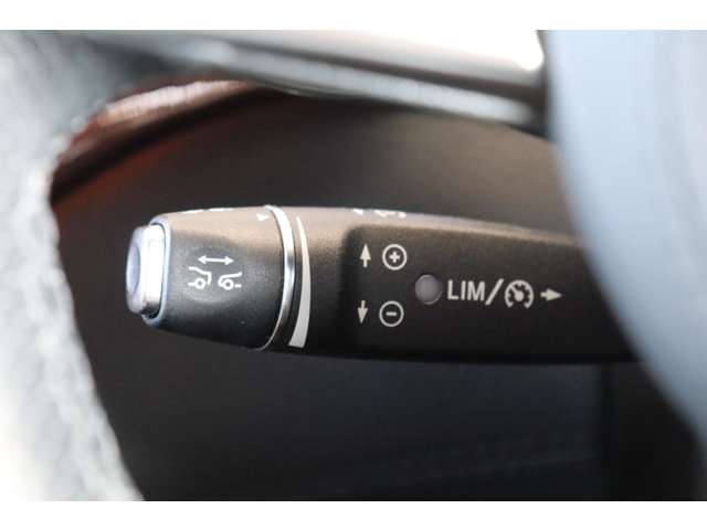 メルセデスベンツ ＧＬＳクラス ３５０ Ｄ ４マチック スポーツ ４ＷＤ H29年 (近畿) 99