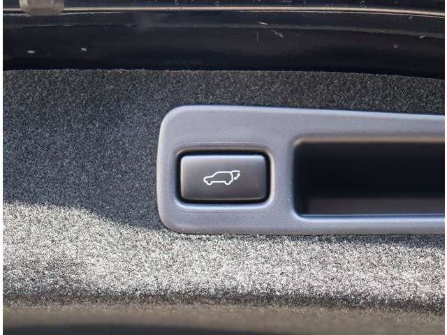 トヨタ ハリアー ２．０ プレミアム H28年 (関東) 99