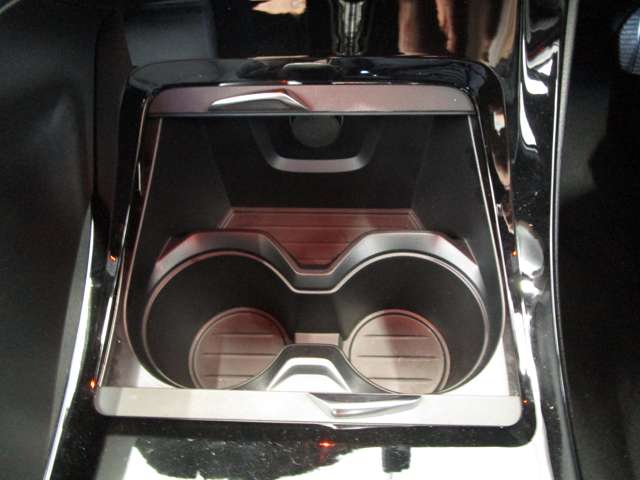 ＢＭＷ Ｘ１ Ｘドライブ ２０Ｉ Ｍスポーツ ４ＷＤ R1年 (近畿) 99