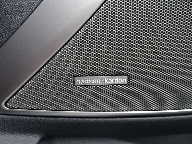 ＢＭＷ ３シリーズ ３１８ｉ　Ｍスポーツ R3年 (近畿) 99