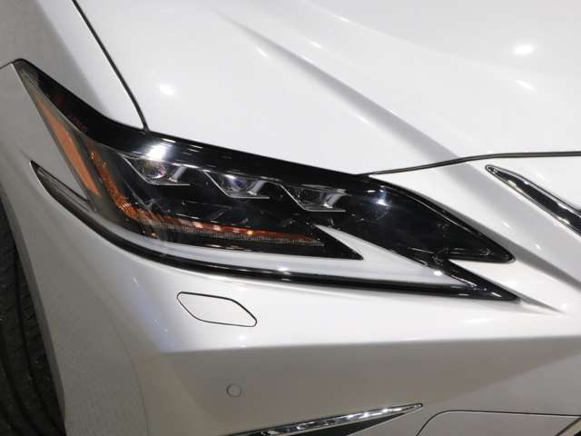 レクサス ＥＳ３００ｈ バージョンＬ R2年 (関東) 99