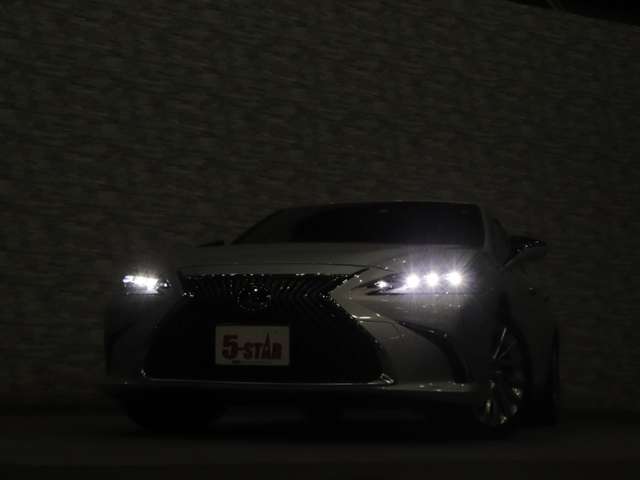 レクサス ＥＳ３００ｈ バージョンＬ R2年 (関東) 99