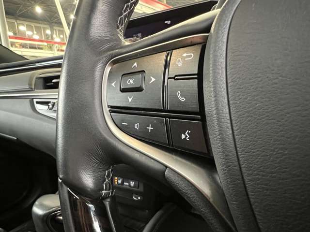 レクサス ＥＳ３００ｈ バージョンＬ R2年 (関東) 99