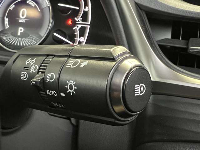 レクサス ＥＳ３００ｈ バージョンＬ R2年 (関東) 99