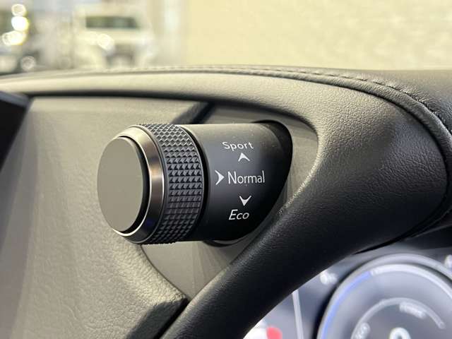 レクサス ＥＳ３００ｈ バージョンＬ R2年 (関東) 99