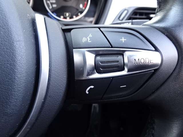 ＢＭＷ Ｘ１ Ｘドライブ １８Ｄ Ｍスポーツ ４ＷＤ H29年 (近畿) 99