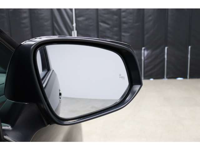 トヨタ アルファード ２．５ Ｓ タイプゴールドＩＩＩ R4年 (東海) 99