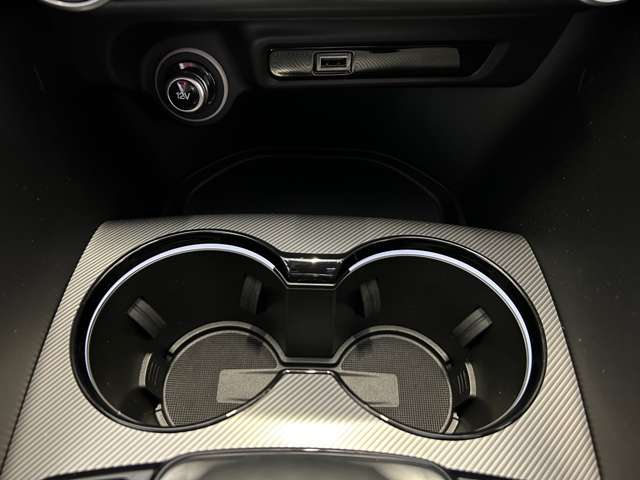 アルファロメオ ジュリア ２．０ ターボ ヴェローチェ R5年 (東北) 99