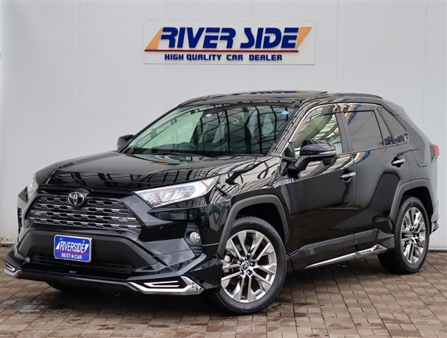 トヨタ ＲＡＶ４ ２．０ Ｇ Ｚパッケージ ４ＷＤ R1年 (関東) 99