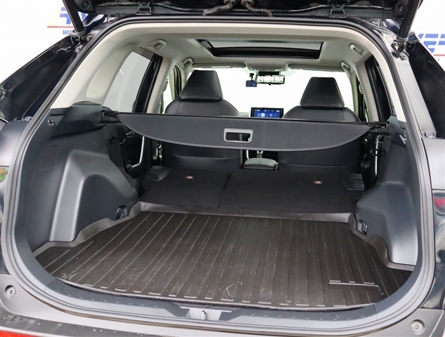 トヨタ ＲＡＶ４ ２．０ Ｇ Ｚパッケージ ４ＷＤ R1年 (関東) 99