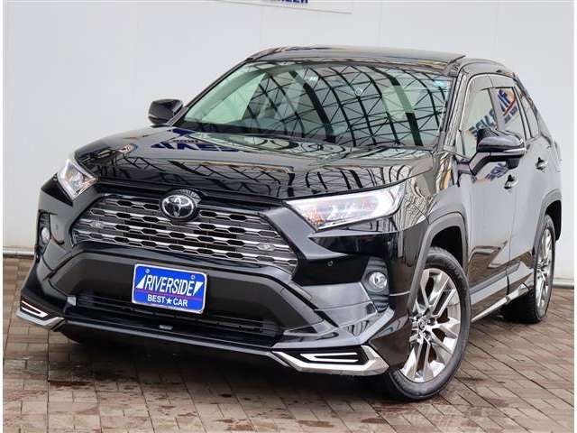 トヨタ ＲＡＶ４ ２．０ Ｇ Ｚパッケージ ４ＷＤ R1年 (関東) 99