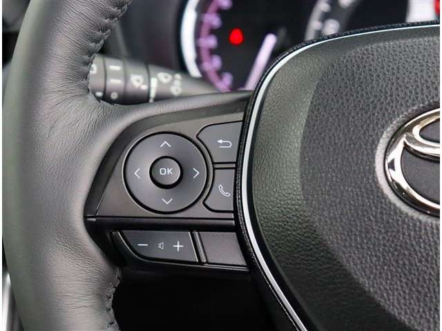 トヨタ ＲＡＶ４ ２．０ Ｇ Ｚパッケージ ４ＷＤ R1年 (関東) 99