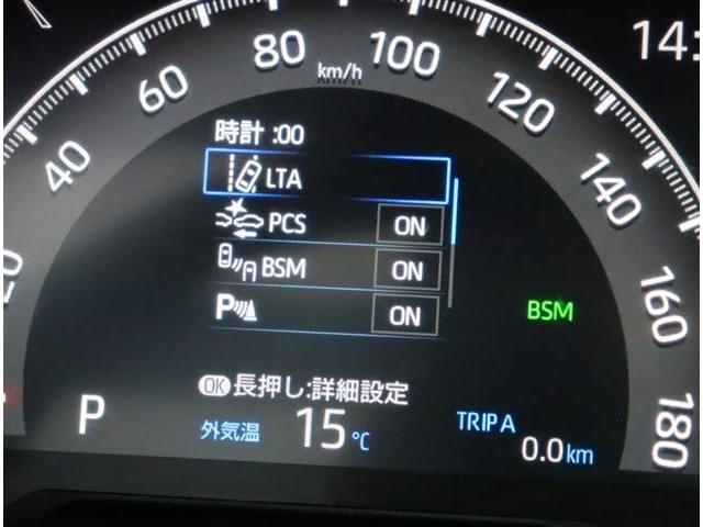 トヨタ ＲＡＶ４ ２．０ Ｇ Ｚパッケージ ４ＷＤ R1年 (関東) 99